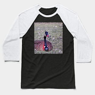 beautiful goose laying in grass Baseball T-Shirt